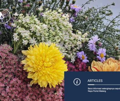 NAYA FLORIST - BUNGA PAPAN MALANG(1)